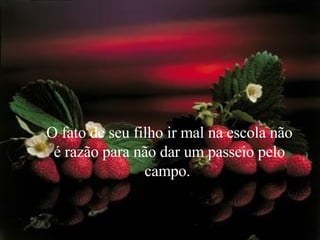 O fato de seu filho ir mal na escola não é razão para não dar um passeio pelo campo.  