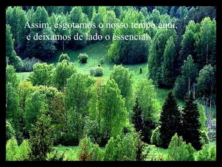 Assim, esgotamos o nosso tempo aqui, e deixamos de lado o essencial : 