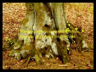 Portanto, aproveite a oportunidade, mas não se esqueça do principal... 