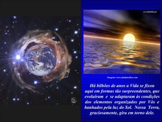 Há bilhões de anos a Vida se fixou aqui em formas tão surpreendentes, que evoluíram  e  se adaptaram às condições dos  elementos  organizados  por  Vós  e banhados pela luz do Sol.  Nossa  Terra, graciosamente, gira em torno dele. Imagem: www.aindamelhor.com 