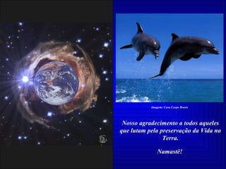 Nosso agradecimento a todos aqueles que lutam pela preservação da Vida na Terra. Namastê!   Imagem:  Casa Corpo Brasis 