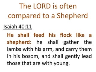 Isaiah 40:11
He shall feed his flock like a
shepherd: he shall gather the
lambs with his arm, and carry them
in his bosom, and shall gently lead
those that are with young.
The LORD is often
compared to a Shepherd
 