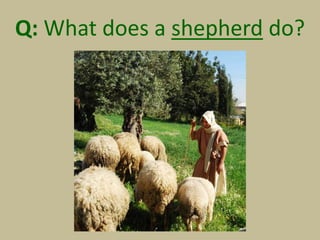 Q: What does a shepherd do?
 
