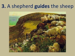 3. A shepherd guides the sheep
 