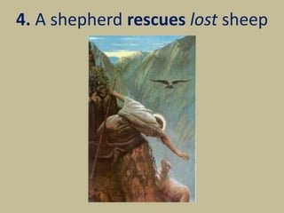 4. A shepherd rescues lost sheep
 