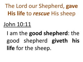 John 10:11
I am the good shepherd: the
good shepherd giveth his
life for the sheep.
The Lord our Shepherd, gave
His life to rescue His sheep
 