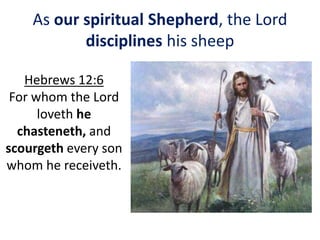 As our spiritual Shepherd, the Lord
disciplines his sheep
Hebrews 12:6
For whom the Lord
loveth he
chasteneth, and
scourgeth every son
whom he receiveth.
 