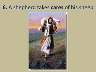 6. A shepherd takes cares of his sheep
 