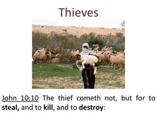 Thieves
John 10:10 The thief cometh not, but for to
steal, and to kill, and to destroy:
 