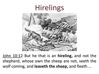 Hirelings
John 10:12 But he that is an hireling, and not the
shepherd, whose own the sheep are not, seeth the
wolf coming, and leaveth the sheep, and fleeth …
 