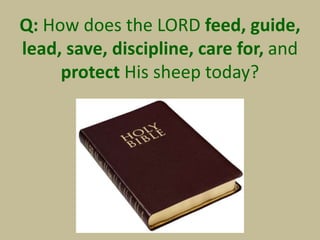 Q: How does the LORD feed, guide,
lead, save, discipline, care for, and
protect His sheep today?
 