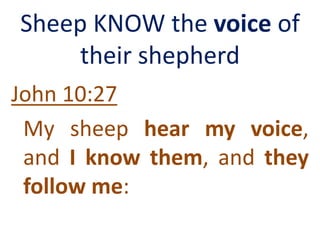 Sheep KNOW the voice of
their shepherd
John 10:27
My sheep hear my voice,
and I know them, and they
follow me:
 