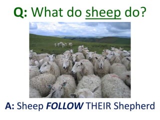 Q: What do sheep do?
A: Sheep FOLLOW THEIR Shepherd
 