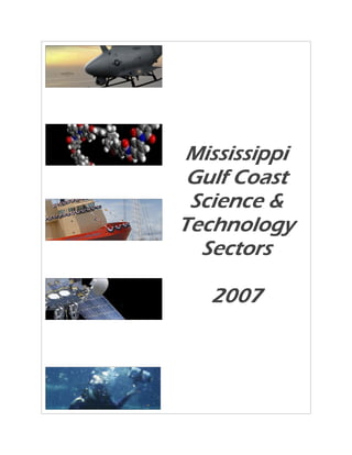 Mississippi
 Gulf Coast
 Science &
Technology
  Sectors

   2007
 