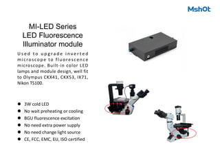 MI-LED Series
LED Fluorescence
Illuminator module
U s e d t o u p g r a d e i n v e r t e d
microscope to fluorescence
microscope. Built-in color LED
lamps and module design, well fit
to Olympus CKX41, CKX53, IX71,
Nikon TS100.
l 3W cold LED
l No wait preheating or cooling
l BGU fluorescence excitation
l No need extra power supply
l No need change light source
l CE, FCC, EMC, EU, ISO certified
 