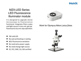 MZX-LED Series
LED Fluorescence
Illuminator module
It is designed to upgrade stereo
microscope to fluorescence
functional. Integrates filters cubes
and light source in one unit, get epi
fluorescence by one stop operation.
l 3W cold LED
l No wait preheating or cooling
l BGU fluorescence excitation
l No need extra power supply
l No need change light source
l CE, FCC, EMC, EU, ISO certified
Work for Olympus,Nikon,Leica,Zeiss
 