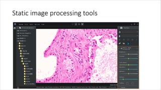 Static image processing tools
 