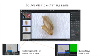 Double click to eidt image name
Make image in order by
capture time or name
Quick auto dye
image in RGB
 