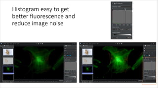 Histogram easy to get
better fluorescence and
reduce image noise
 