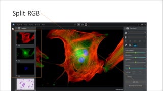 Split RGB
 