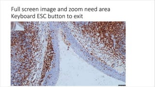 Full screen image and zoom need area
Keyboard ESC button to exit
 