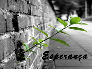 Esperança
 