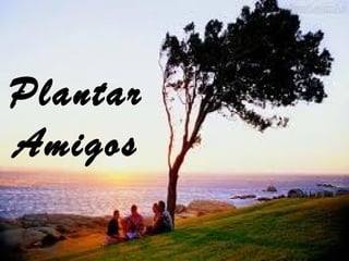 Plantar
Amigos
 