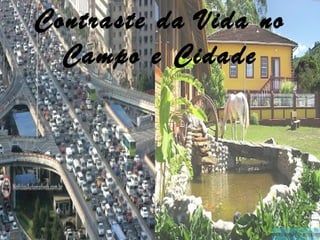 Contraste da Vida no
Campo e Cidade
 
