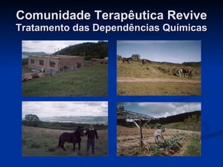 Comunidade Terapêutica Revive Tratamento das Dependências Químicas 