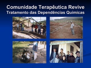 Comunidade Terapêutica Revive Tratamento das Dependências Químicas 