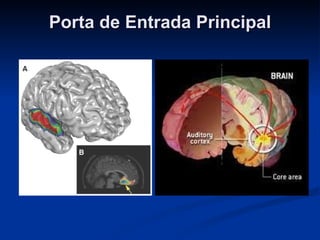 Porta de Entrada Principal 