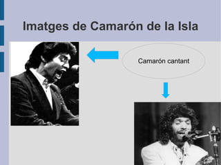 Imatges de Camarón de la Isla Camarón cantant 