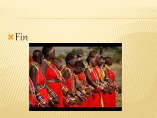 Fin
 
