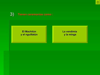 3) Tienen ceremonias como   : El Machitún y el nguillatún   La vendimia  y la minga 