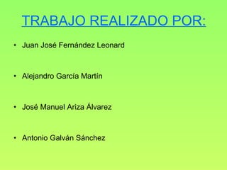 TRABAJO REALIZADO POR: Juan José Fernández Leonard Alejandro García Martín José Manuel Ariza Álvarez Antonio Galván Sánchez 