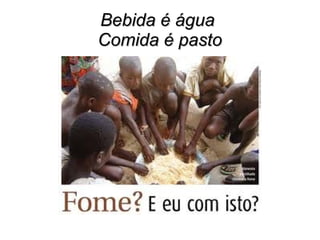 Bebida é água
Comida é pasto

 