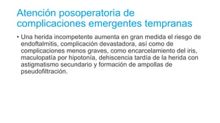 Atención posoperatoria de
complicaciones emergentes tempranas
• Una herida incompetente aumenta en gran medida el riesgo de
endoftalmitis, complicación devastadora, así como de
complicaciones menos graves, como encarcelamiento del iris,
maculopatía por hipotonía, dehiscencia tardía de la herida con
astigmatismo secundario y formación de ampollas de
pseudofiltración.
 