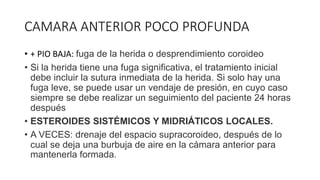 CAMARA ANTERIOR POCO PROFUNDA
• + PIO BAJA: fuga de la herida o desprendimiento coroideo
• Si la herida tiene una fuga significativa, el tratamiento inicial
debe incluir la sutura inmediata de la herida. Si solo hay una
fuga leve, se puede usar un vendaje de presión, en cuyo caso
siempre se debe realizar un seguimiento del paciente 24 horas
después
• ESTEROIDES SISTÉMICOS Y MIDRIÁTICOS LOCALES.
• A VECES: drenaje del espacio supracoroideo, después de lo
cual se deja una burbuja de aire en la cámara anterior para
mantenerla formada.
 
