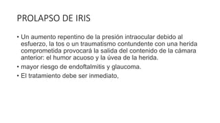 PROLAPSO DE IRIS
• Un aumento repentino de la presión intraocular debido al
esfuerzo, la tos o un traumatismo contundente con una herida
comprometida provocará la salida del contenido de la cámara
anterior: el humor acuoso y la úvea de la herida.
• mayor riesgo de endoftalmitis y glaucoma.
• El tratamiento debe ser inmediato,
 