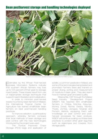 Malawi Seed Industry Development Project (MSIDP)- A Malawi Seed Alliance Newsletter