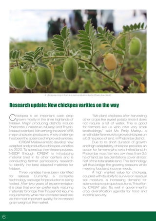 Malawi Seed Industry Development Project (MSIDP)- A Malawi Seed Alliance Newsletter