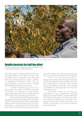 Malawi Seed Industry Development Project (MSIDP)- A Malawi Seed Alliance Newsletter