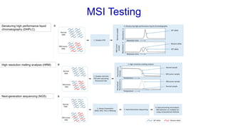 Microsatellite Instability: Detection Methods and Clinical Significance ...