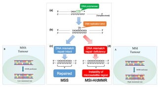 Microsatellite Instability Explained Microsatellite Instability: Detection Methods and Clinical Significance ...