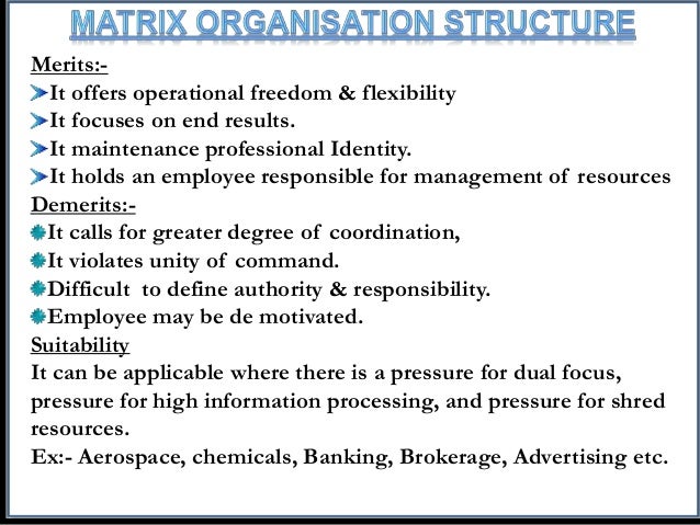 organisation structures ppt team structure ppt