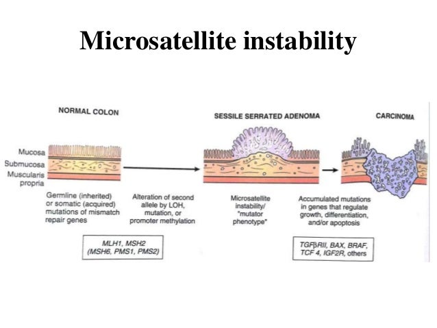 Microsatellite instability