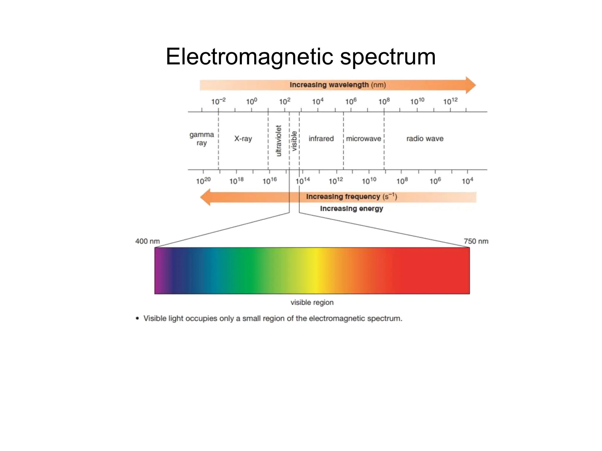 Electromagnetic spectrum
 
