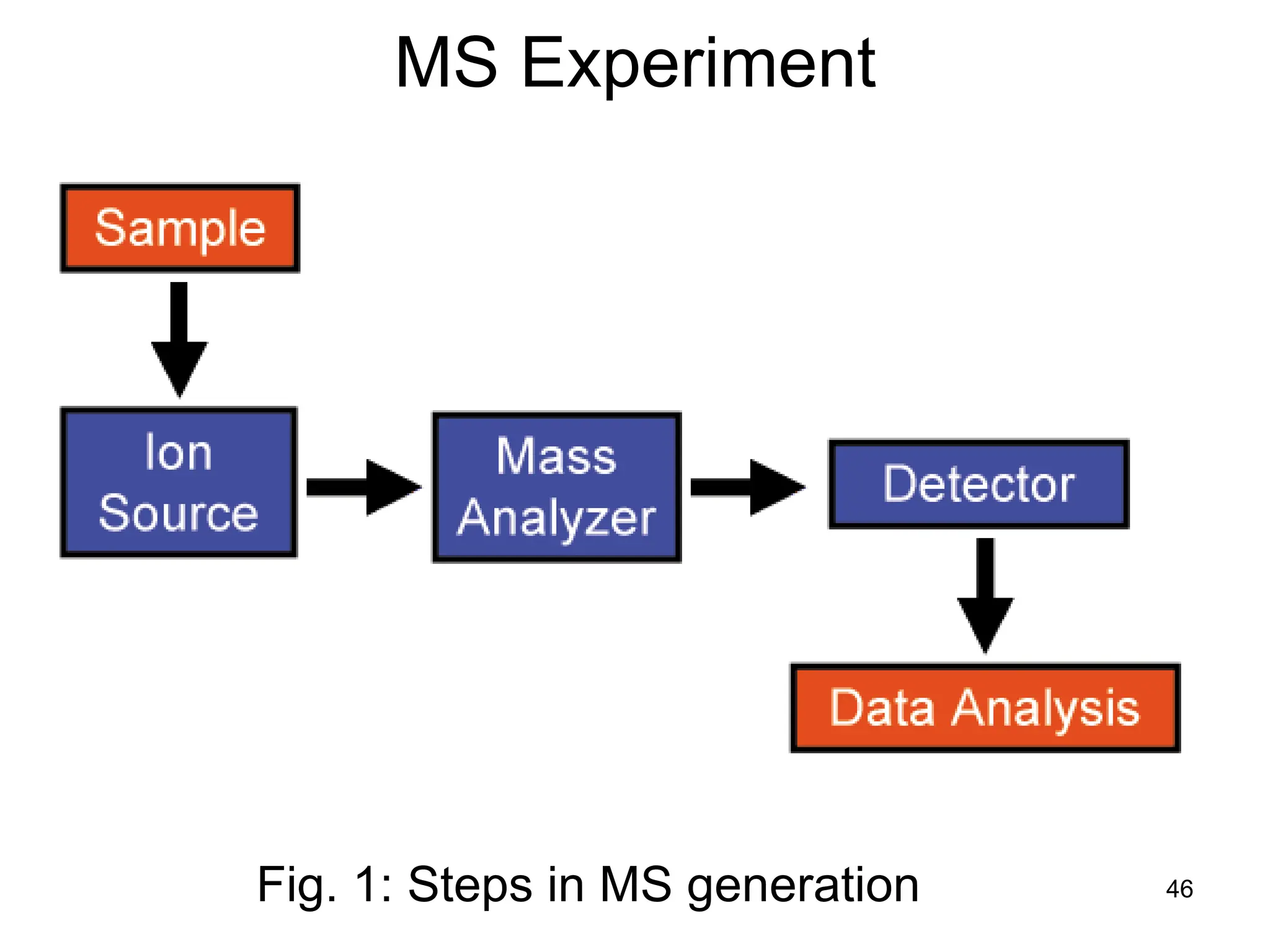 46
MS Experiment
Fig. 1: Steps in MS generation
 