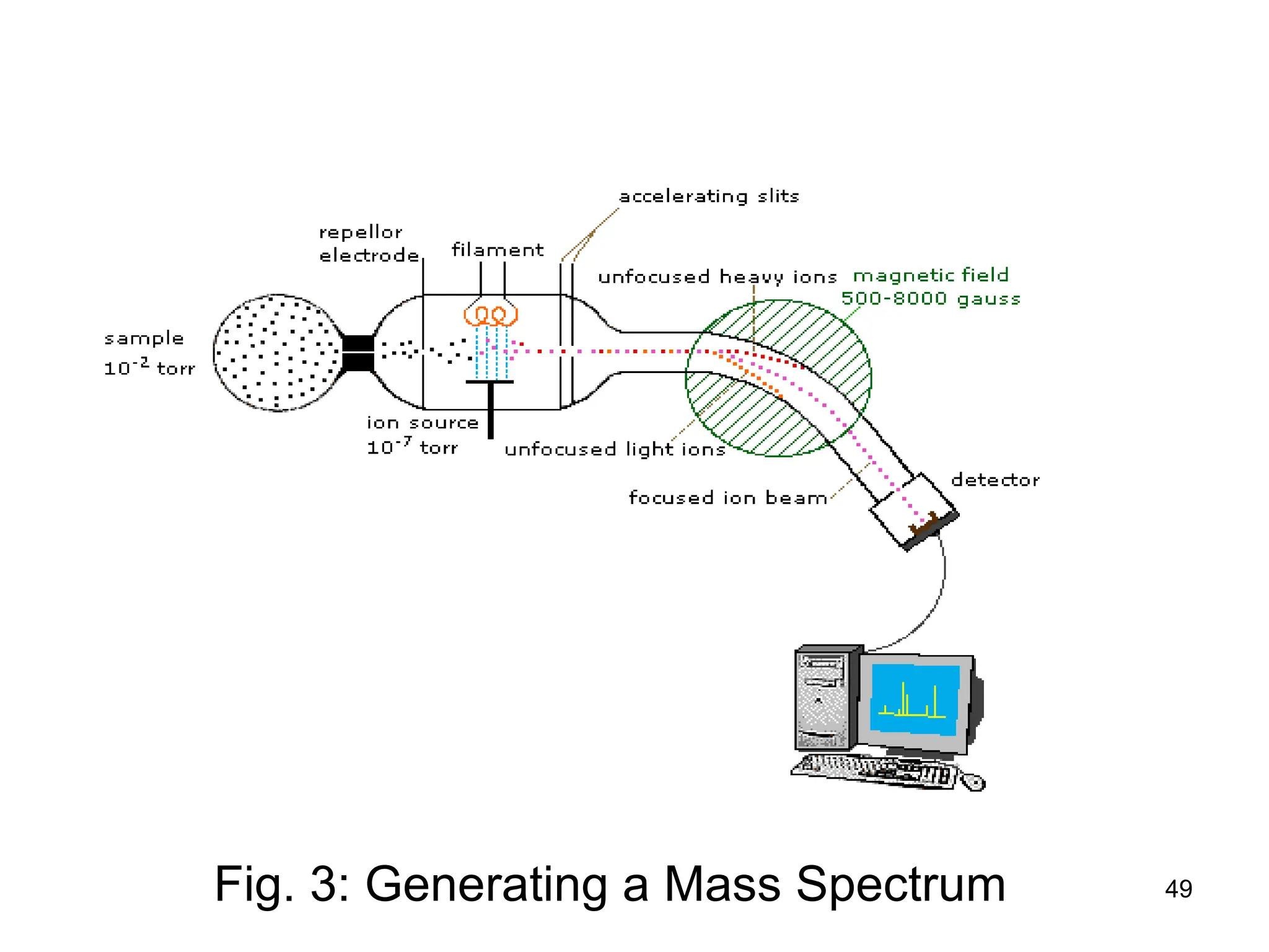 49
Fig. 3: Generating a Mass Spectrum
 