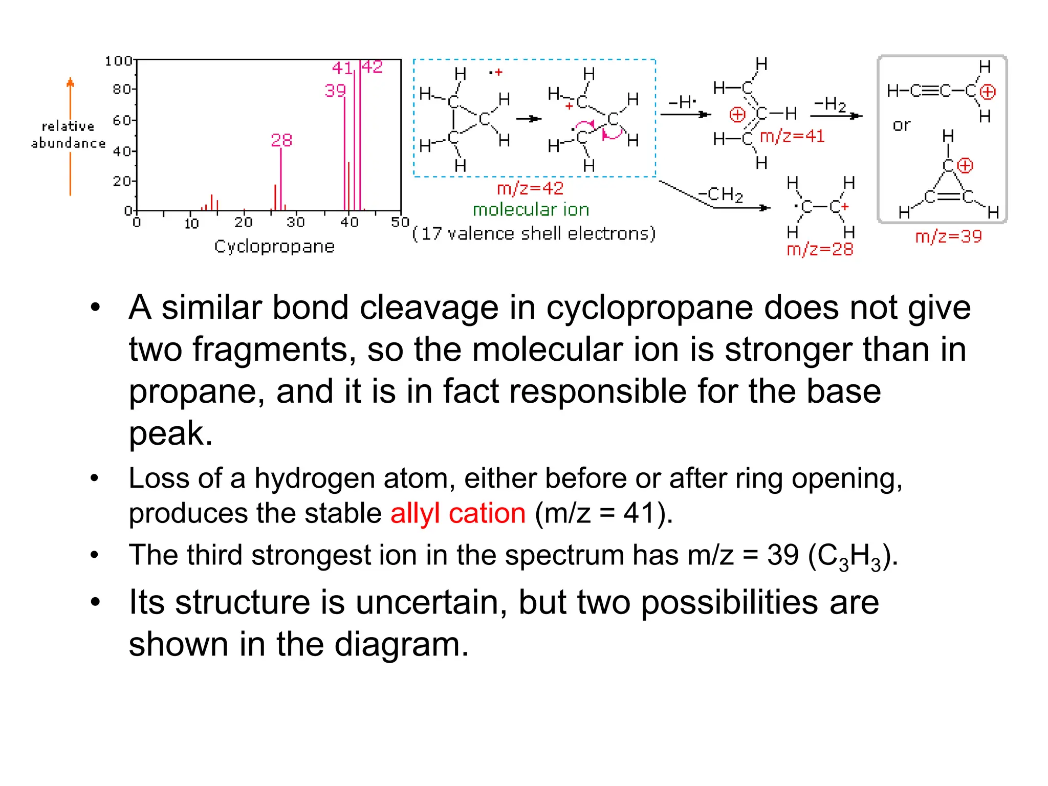 • A similar bond cleavage in cyclopropane does not give
two fragments, so the molecular ion is stronger than in
propane, and it is in fact responsible for the base
peak.
• Loss of a hydrogen atom, either before or after ring opening,
produces the stable allyl cation (m/z = 41).
• The third strongest ion in the spectrum has m/z = 39 (C3H3).
• Its structure is uncertain, but two possibilities are
shown in the diagram.
 